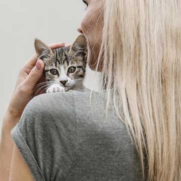 Montaje de stand para feria en España